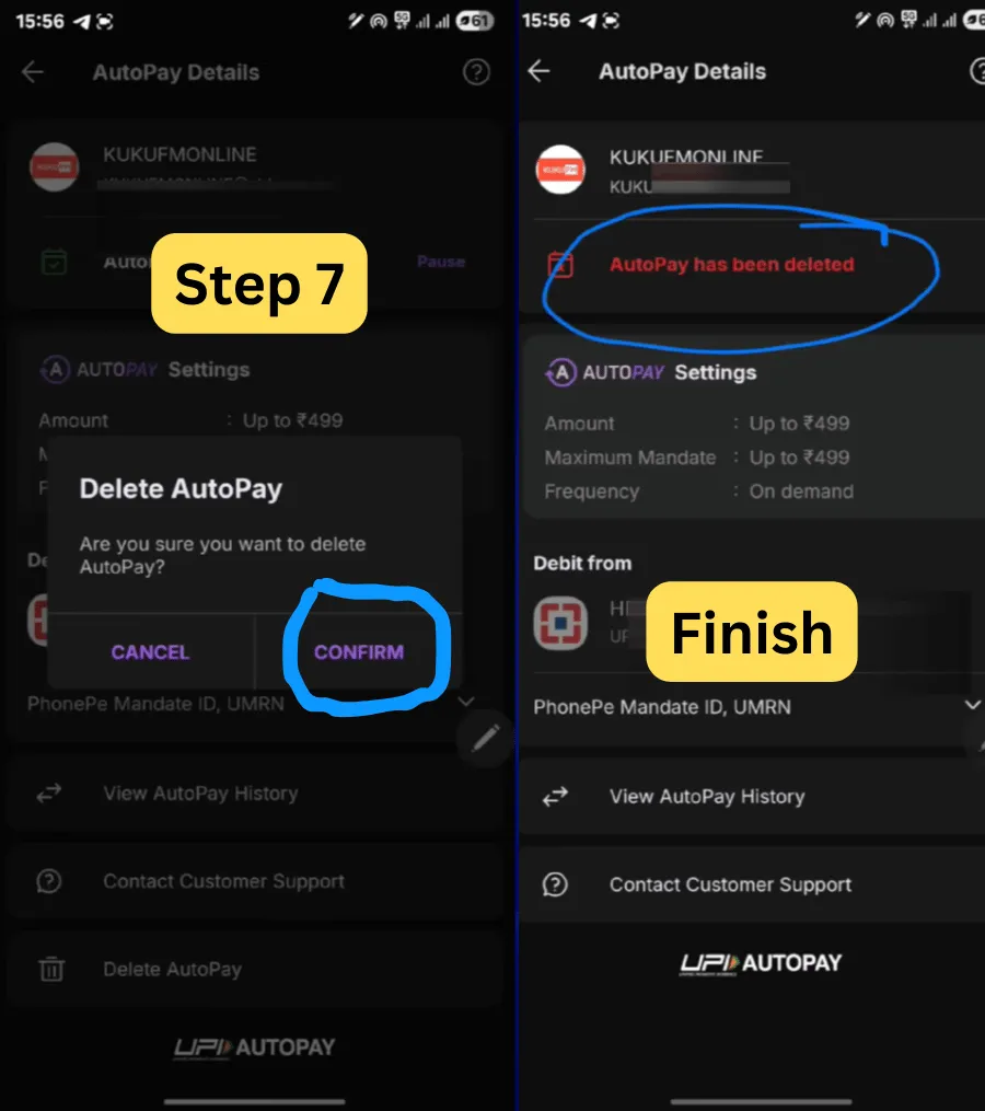 screenshot-upi-payment-autopay-2